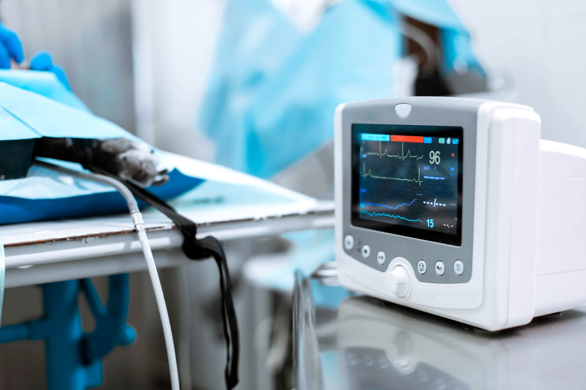 Irvine Emergency AAHA Accredited